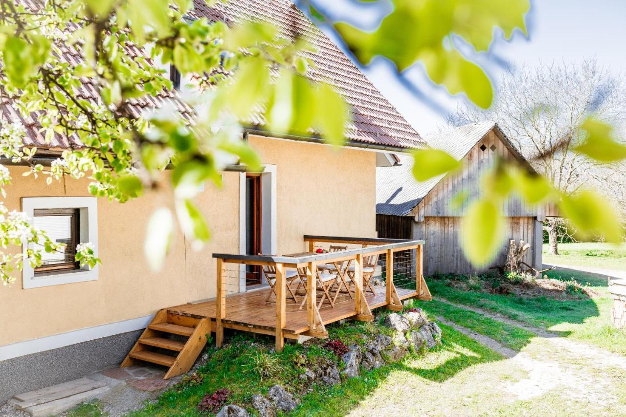 Mama Mia Apartments Radovljica Exterior photo